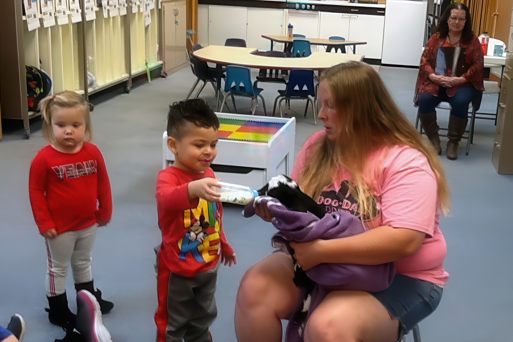 A young child bottle-feeds a baby goat in a preschool classroom, creating a fun and educational hands-on experience.